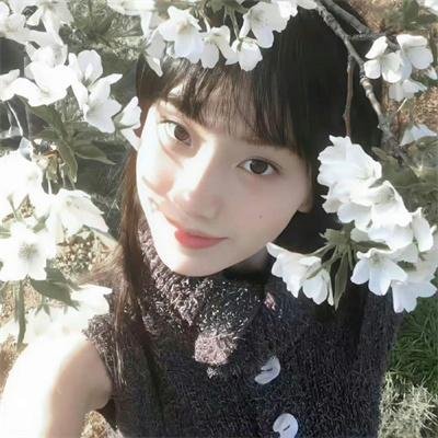 侠岚第二季